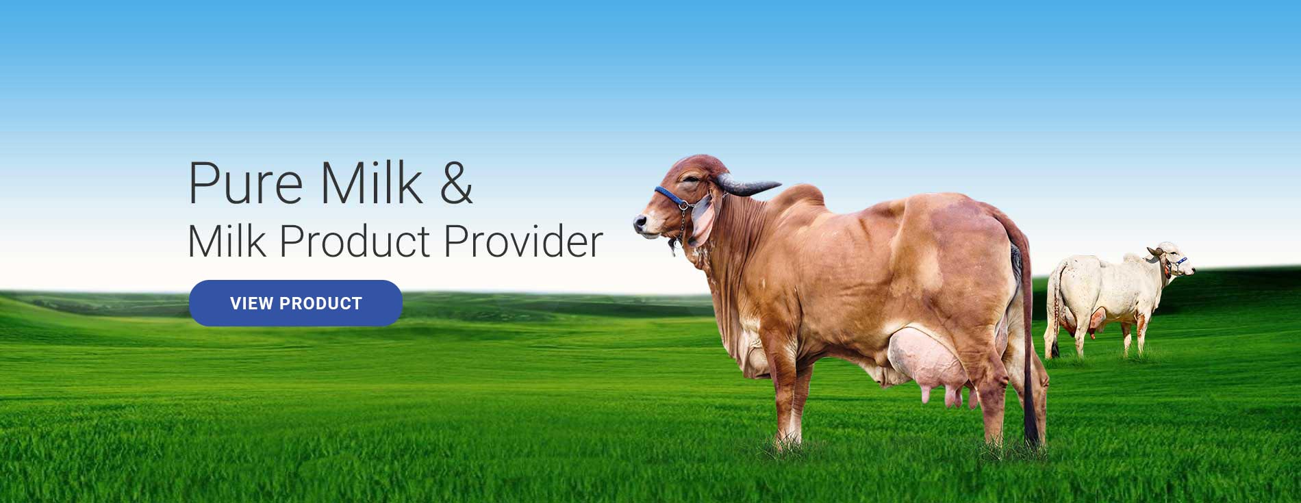 Pure Milk & Milk Product Provider